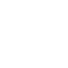 logo alt